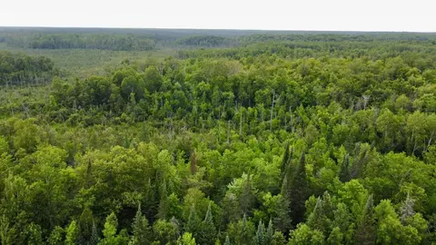 15512 Highway 27, Sturgeon Lake, MN 55783 photo 38
