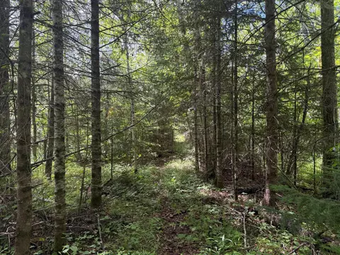 15512 Highway 27, Sturgeon Lake, MN 55783 photo 21