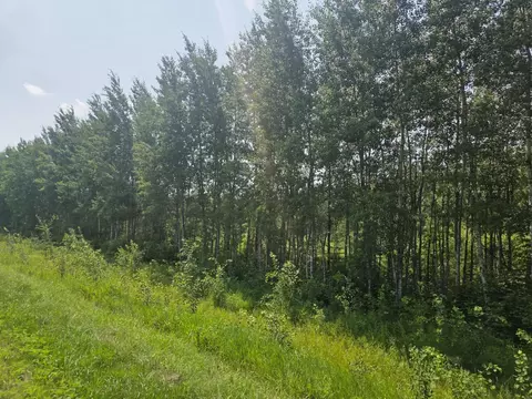 County Road 53 E County Road 53, Mizpah, MN 56660