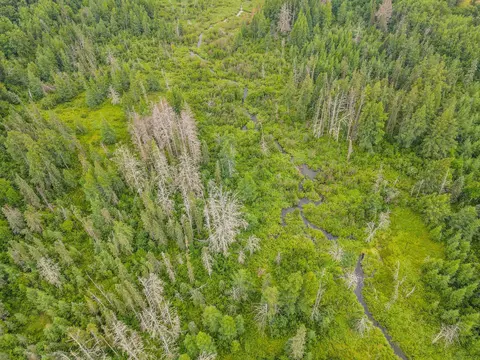 tbd 285th St, Osage, MN 56570 photo 19