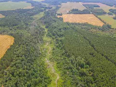 tbd 285th St, Osage, MN 56570 photo 6