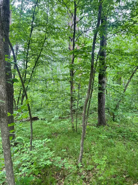 tbd X Flintstone Rd, Cushing, MN 56443 photo 1