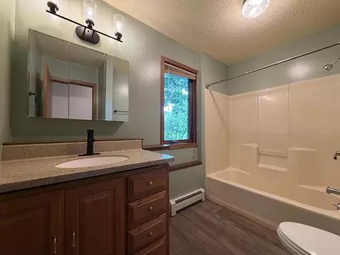 Bath - 42003 Engstrom Beach Rd, Dent, MN 56528 photo 2 of 2