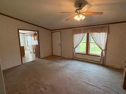 27427 County 98, Grey Eagle, MN 56336 photo 15
