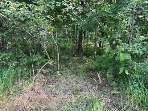 tbd Woodstock, Sturgeon Lake, MN 55783