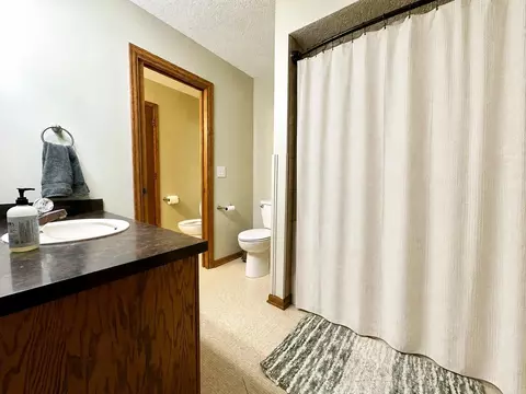 Bath - 404 Crescent Dr, Albert Lea, MN 56007 photo 3 of 4