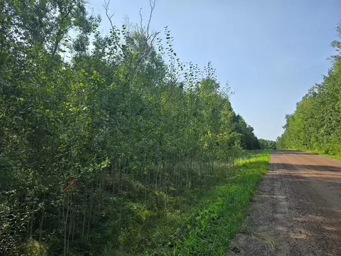 000 Kite St, Mora, MN 55051 photo 3