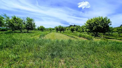 Other - 407 23rd St, Chetek, WI 54728 photo 17 of 17