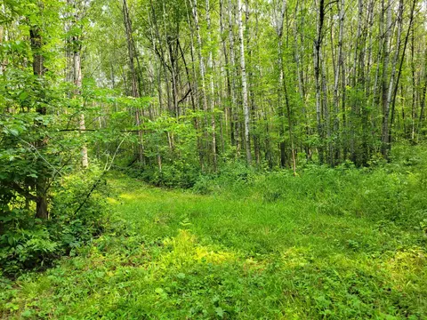 tbd Woodbury Dr, Wright, MN 55798 photo 14