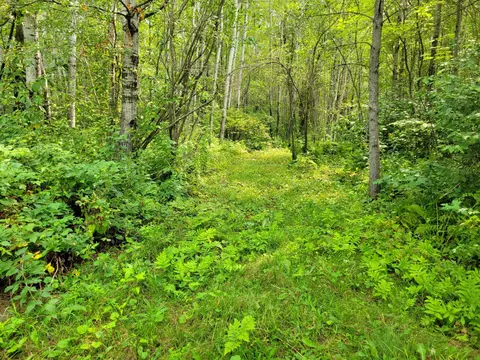 tbd Woodbury Dr, Wright, MN 55798 photo 18