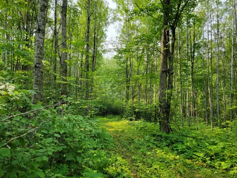 tbd Woodbury Dr, Wright, MN 55798 photo 4