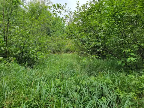 tbd Woodbury Dr, Wright, MN 55798 photo 26