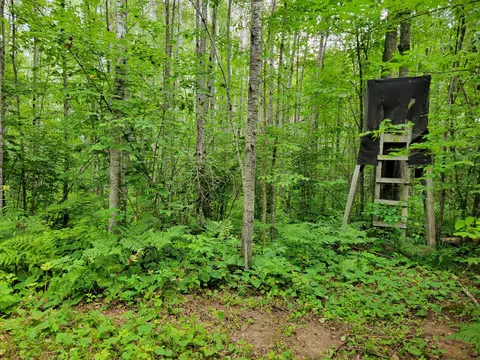 tbd Woodbury Dr, Wright, MN 55798 photo 25