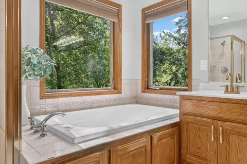 Bath - 11125 Woods Trl N, Champlin, MN 55316 photo 4 of 6