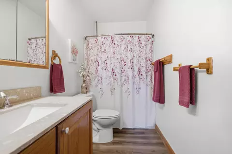 Bath - 15092 Ninebark Dr, Baxter, MN 56425 photo 9 of 10