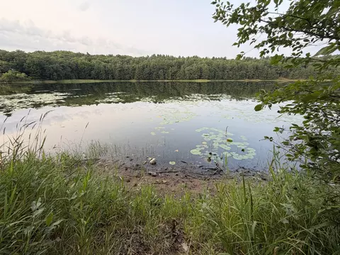 296 26 18 Ave, Maple Plain Twp, WI 54829 photo 30