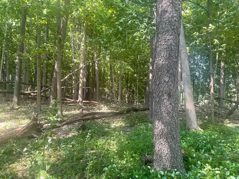 tbd 190th St, Centuria, WI 54824 photo 7
