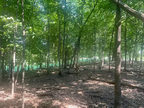 tbd 190th St, Centuria, WI 54824 photo 12