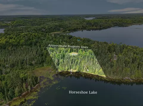 View/Area - 39343 Cedar Heights Rd, Bigfork, MN 56628 photo 6 of 6