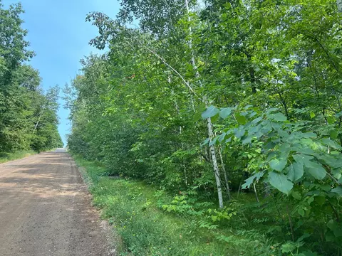 tbd Central St, Garrison, MN 56450 photo 5