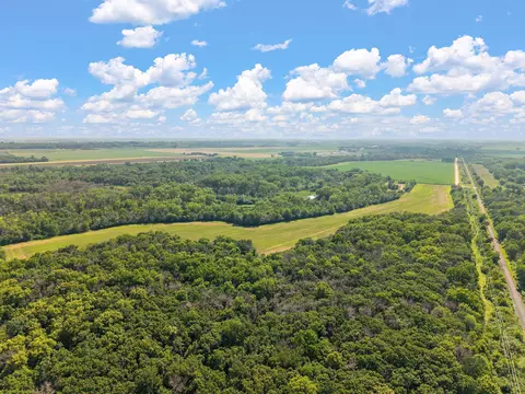 29 Nnn Doyle Trl, Randolph, MN 55065 photo 9