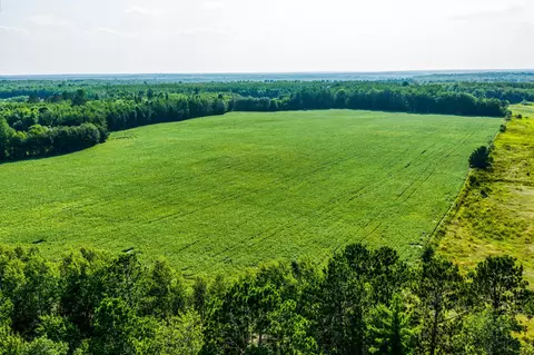 tbd Buzzle Rd NW, Shevlin, MN 56676