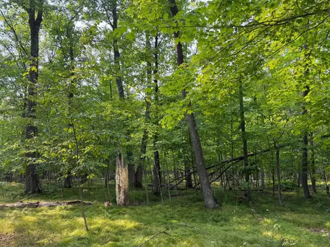 81871 Schoumaker Rd, Willow River, MN 55795 photo 3