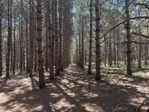 tbd Parcel C Sleepy Hollow Rd, Brainerd, MN 56401 photo 2