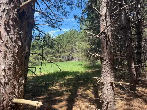 tbd Parcel C Sleepy Hollow Rd, Brainerd, MN 56401 photo 6
