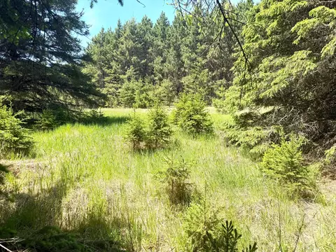 tbd Parcel C Sleepy Hollow Rd, Brainerd, MN 56401 photo 3