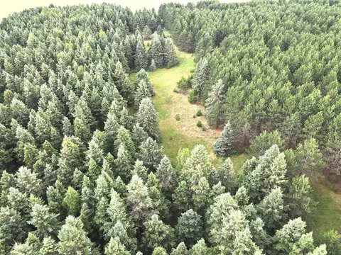 tbd Parcel C Sleepy Hollow Rd, Brainerd, MN 56401