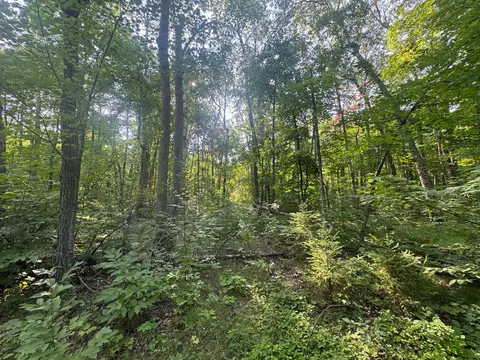 tbd Howard Lake Rd NW, Akeley, MN 56433