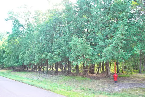 tbd Marohn Rd, Baxter, MN 56425 photo 6