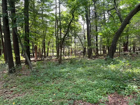 tbd Elmcrest Ave, Stacy, MN 55079 photo 10