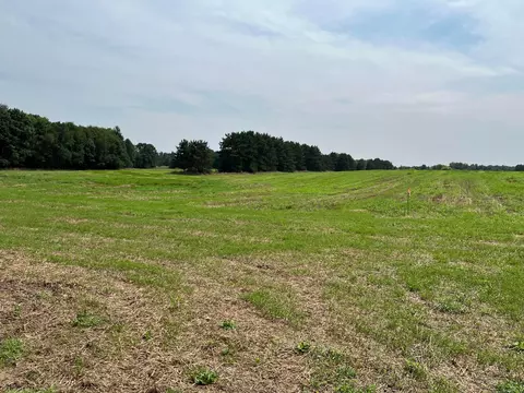 tbd Elmcrest Ave, Stacy, MN 55079 photo 17