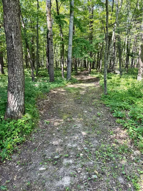 Other - 11023 Steamboat Loop NW, Walker, MN 56484 photo 12 of 12