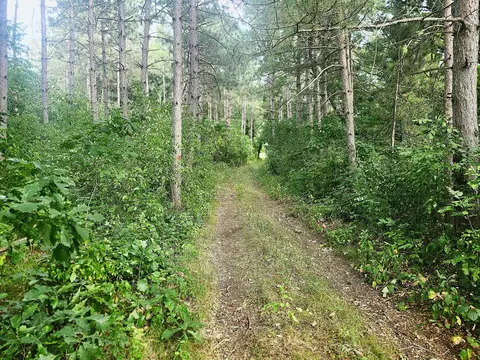tbd 400th St, Browerville, MN 56438