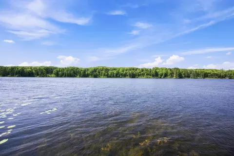 View/Area - 7164 Quentin Rd NE, Outing, MN 56662 photo 17 of 17
