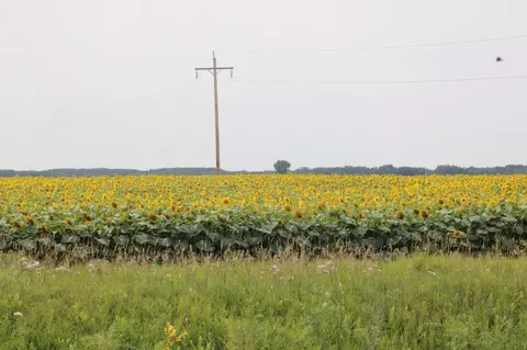 000 State Hwy 219, Goodridge, MN 56725