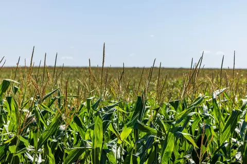 tbd 97 Ave SE #LOT 2, Wimbledon, ND 58492 photo 15
