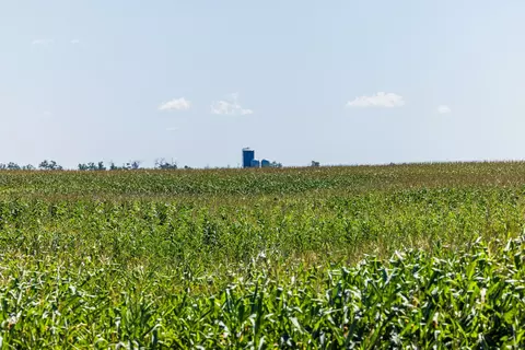 tbd 97 Ave SE #LOT 2, Wimbledon, ND 58492 photo 16