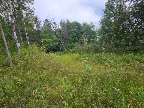 tbd Moose River Rd E, Grygla, MN 56727 photo 3