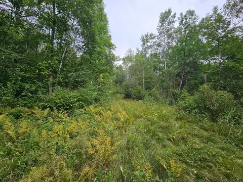 tbd Moose River Rd E, Grygla, MN 56727 photo 2