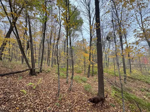 tbd 240th St, Luck, WI 54853 photo 30