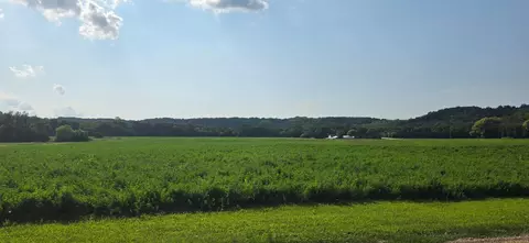 21 County Rd, Mazeppa, MN 55956 photo 8