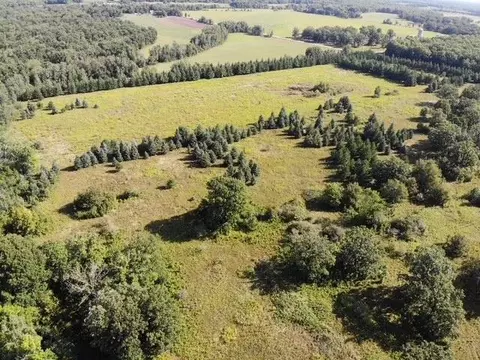 tbd 190th St, Wadena, MN 56482 photo 10