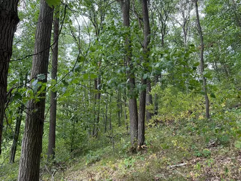 tbd 335th Ave, Cushing, MN 56443 photo 55