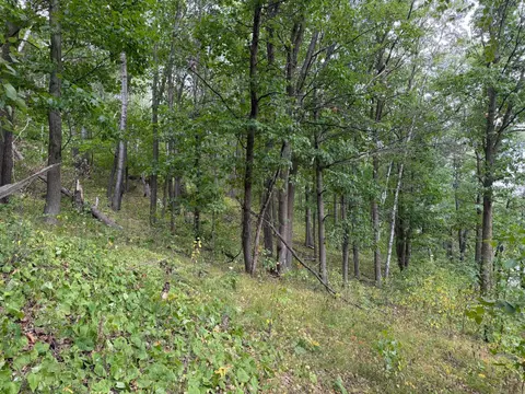 tbd 335th Ave, Cushing, MN 56443 photo 54