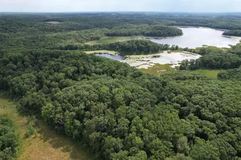 tbd 335th Ave, Cushing, MN 56443 photo 6