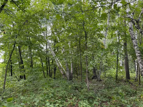 tbd 335th Ave, Cushing, MN 56443 photo 24